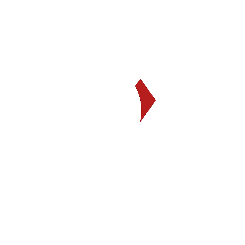 SALES FORGE